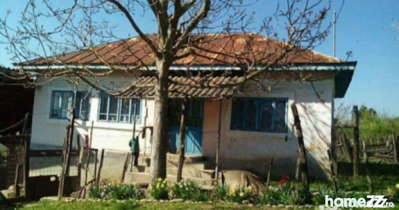 Case De Vanzare Vile Goiesti Imobiliare Homezz Ro