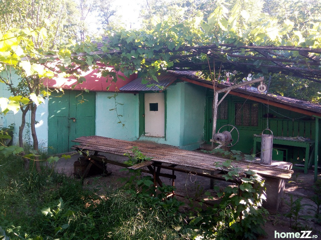 Casa boiereasca Oltenesti, Vaslui