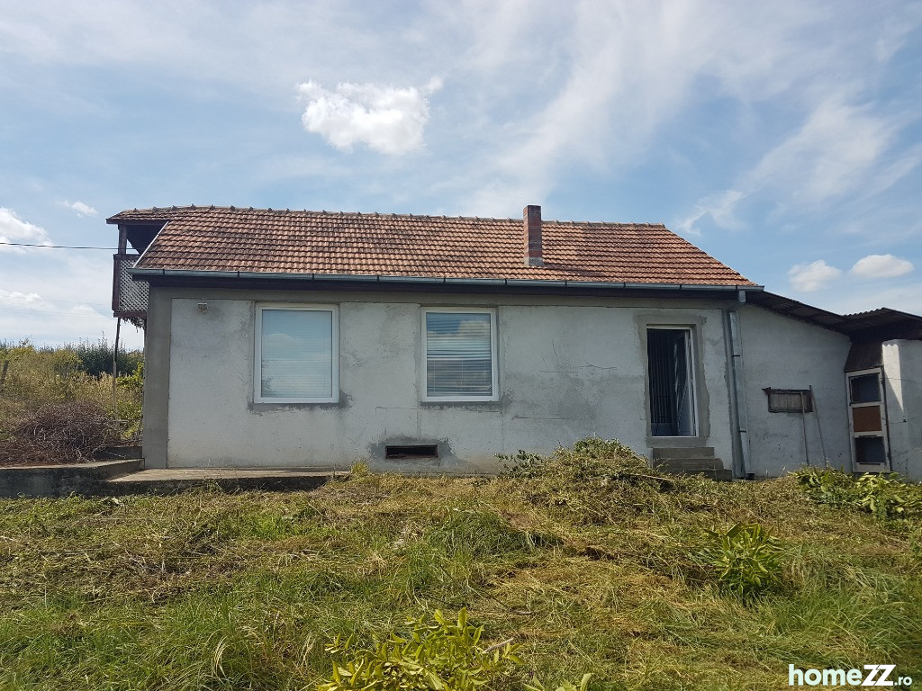Casa Viile Satu Mare Central
