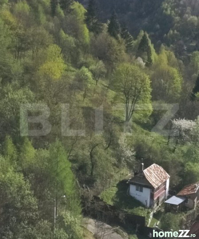 Casă - Vilă 3 camere, Schei