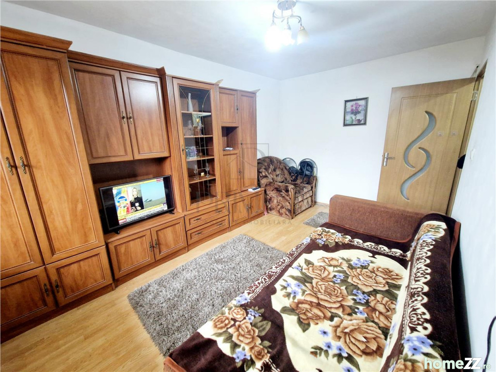 Apartament 1 cameră, Sagului