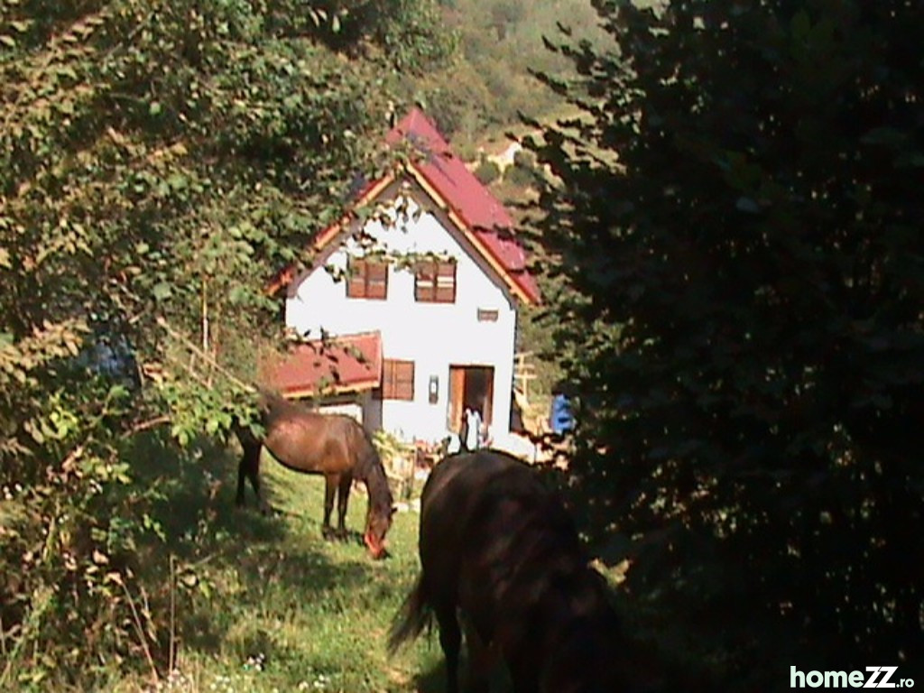 Casa, teren si padure in zona Holbav, Brasov