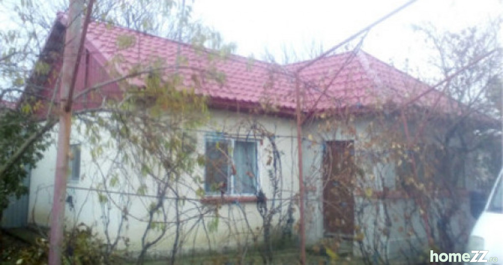 Casa la țara Bogdana, Teleorman