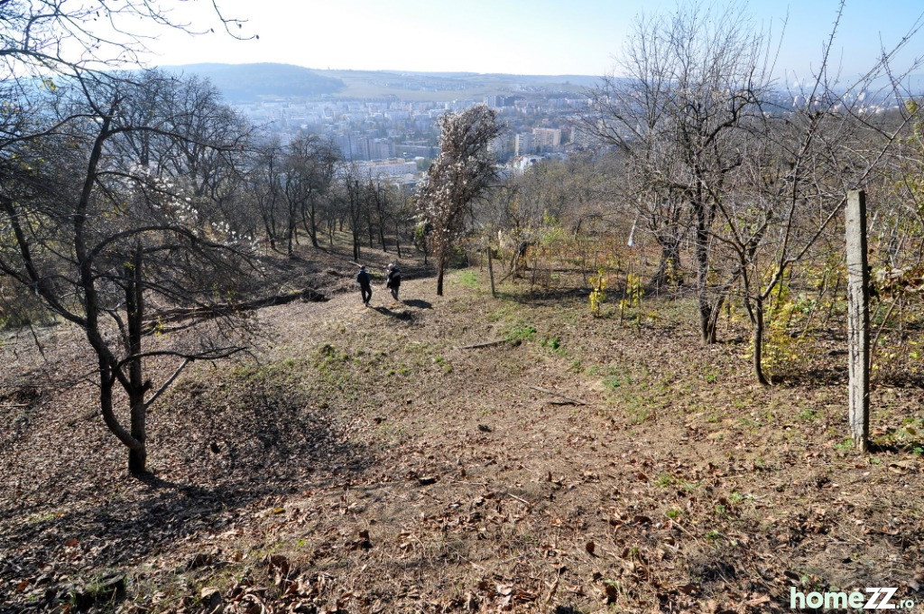 5100 mp teren intravilan la Platoul Cornesti - Tg.Mures