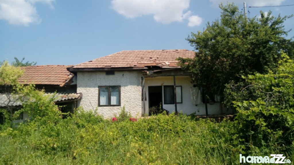 Casa batraneasca de vacanta, Giurgiu Izvoru Central