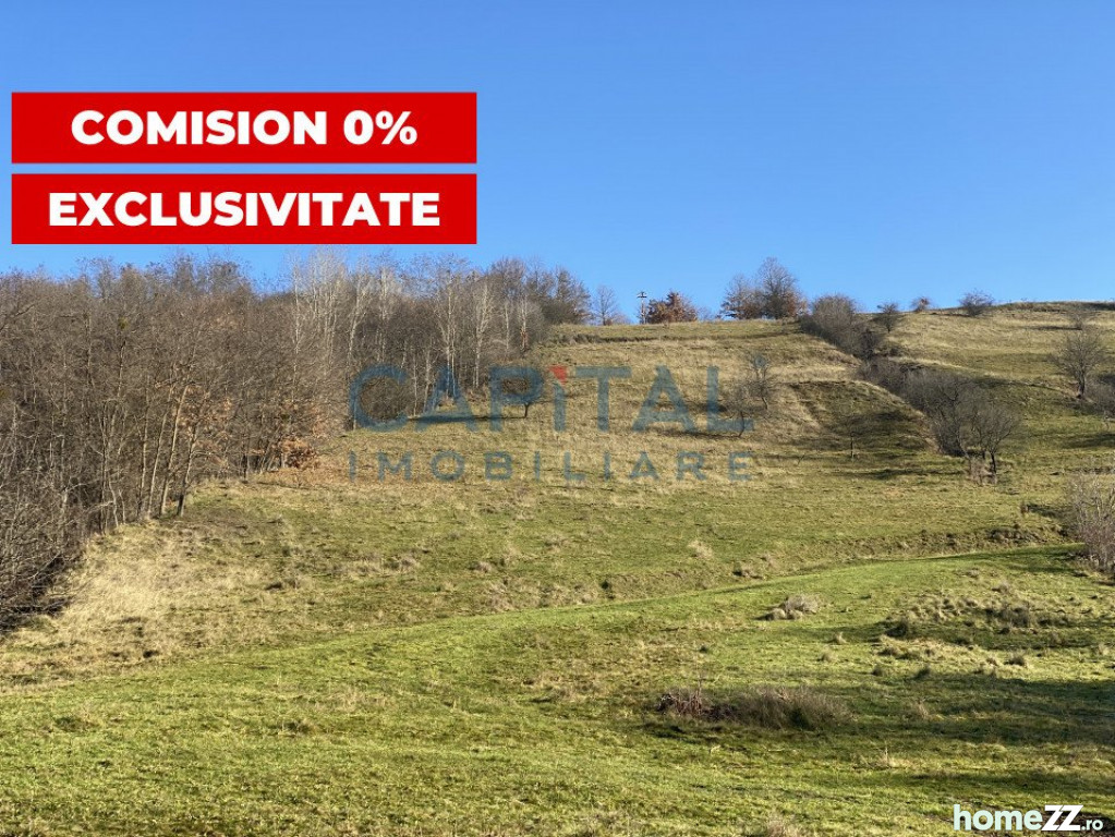 Teren, 35000 m², comision 0%