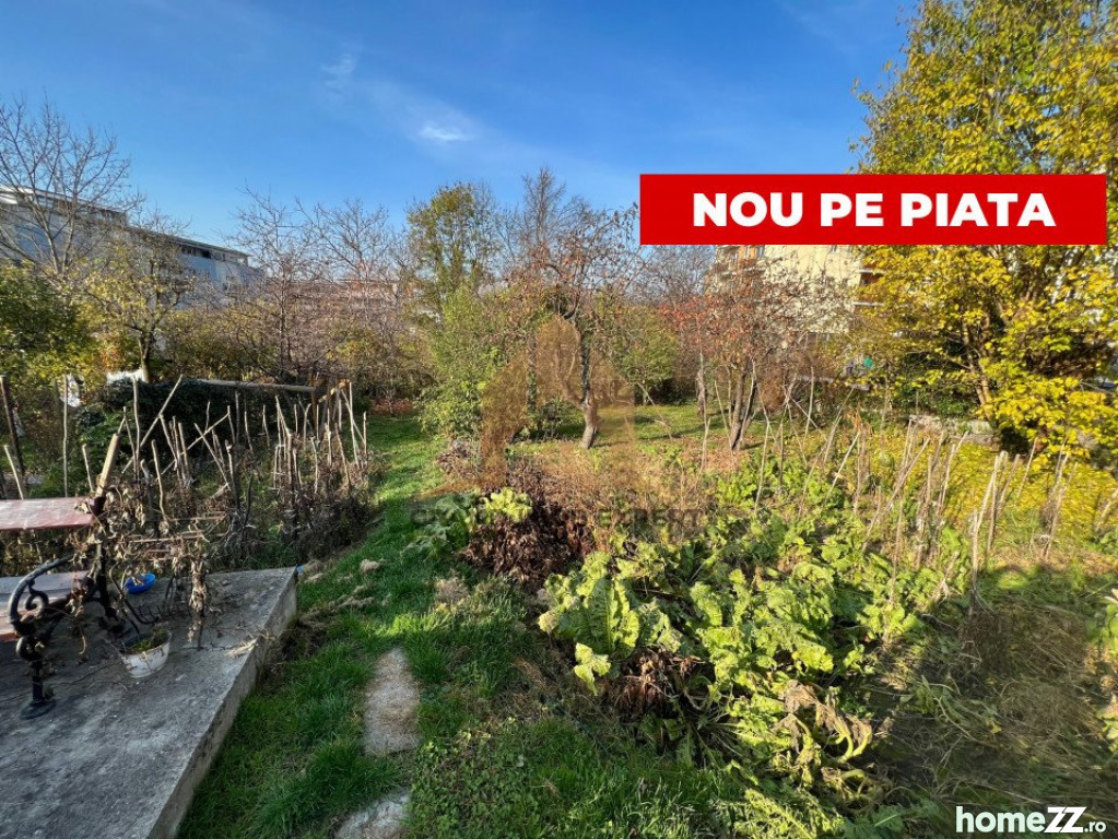 Casă - Vilă 5+ camere, Hasdeu