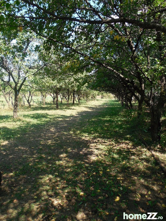 Teren intravilan Campina 2473mp