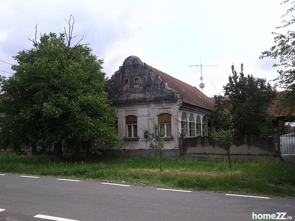 Casa Costeiu, Timis