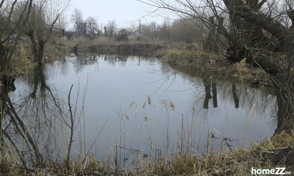 Teren extravilan 50.000 mp pe malul Prutetului,Com.Probota