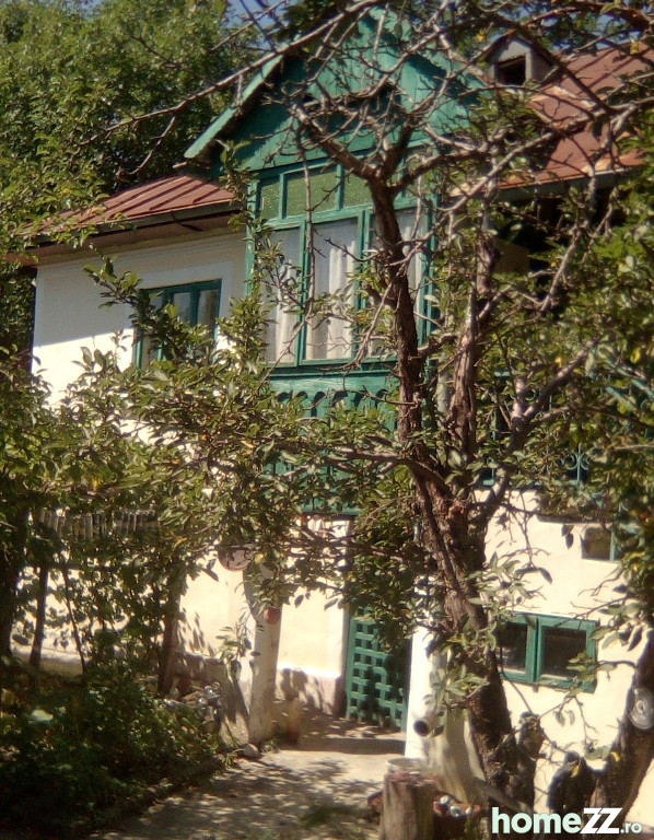 Casa la tara cu 2 case +teren agricol Nenciulesti, Valcea