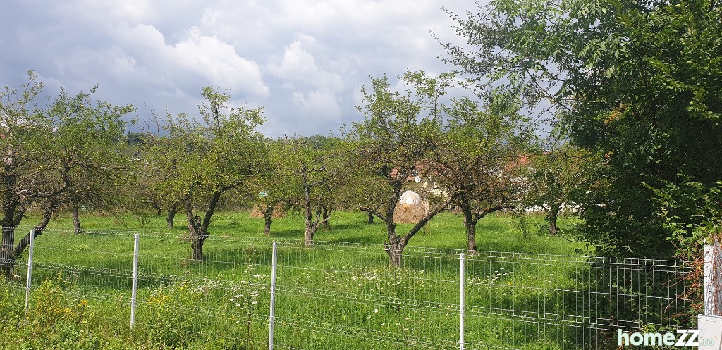 Teren intravilan in Campina,cartier Voila,in livada,600 mp !