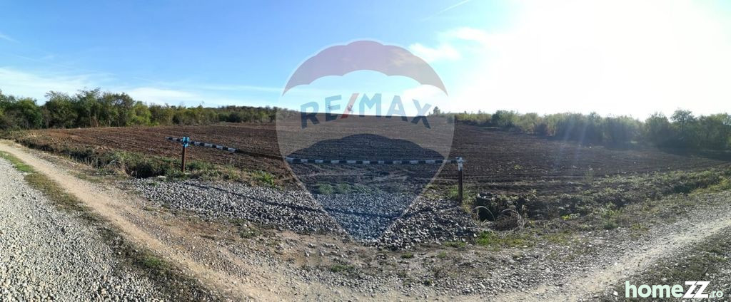 Teren 20,200mp Viile Satu Mare / Strada principala