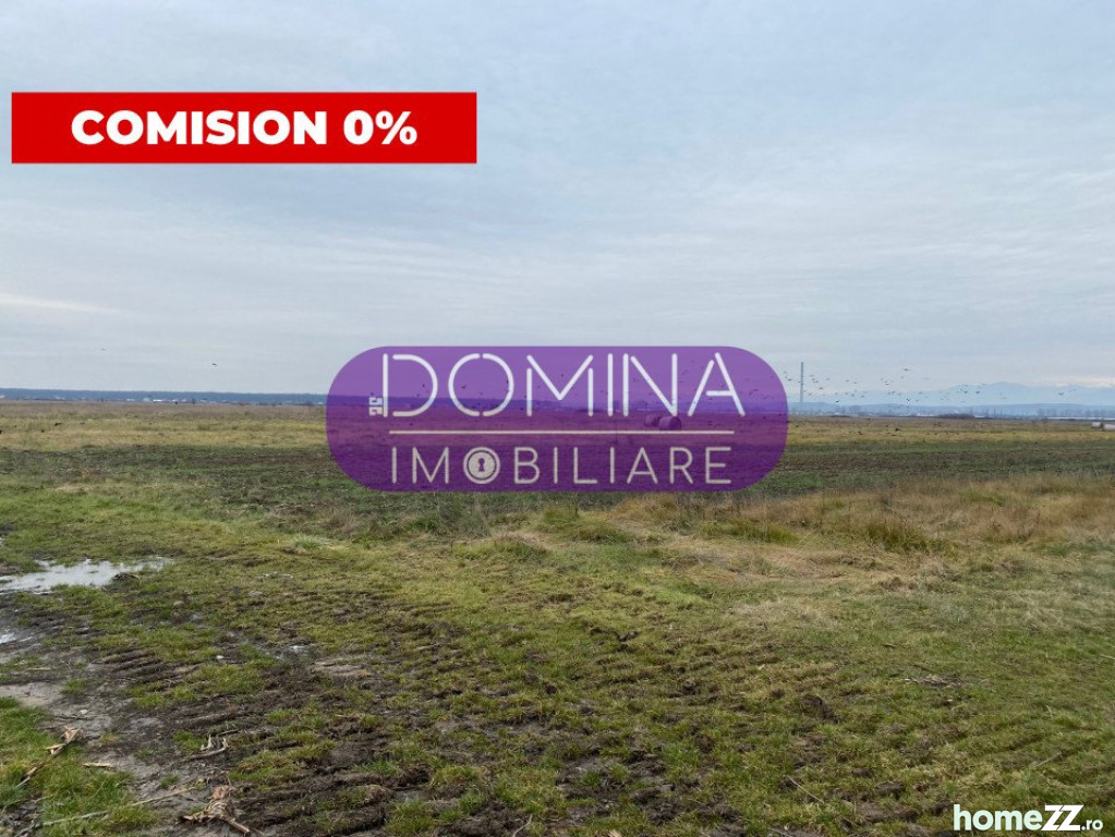 Teren, 10000 m², comision 0%