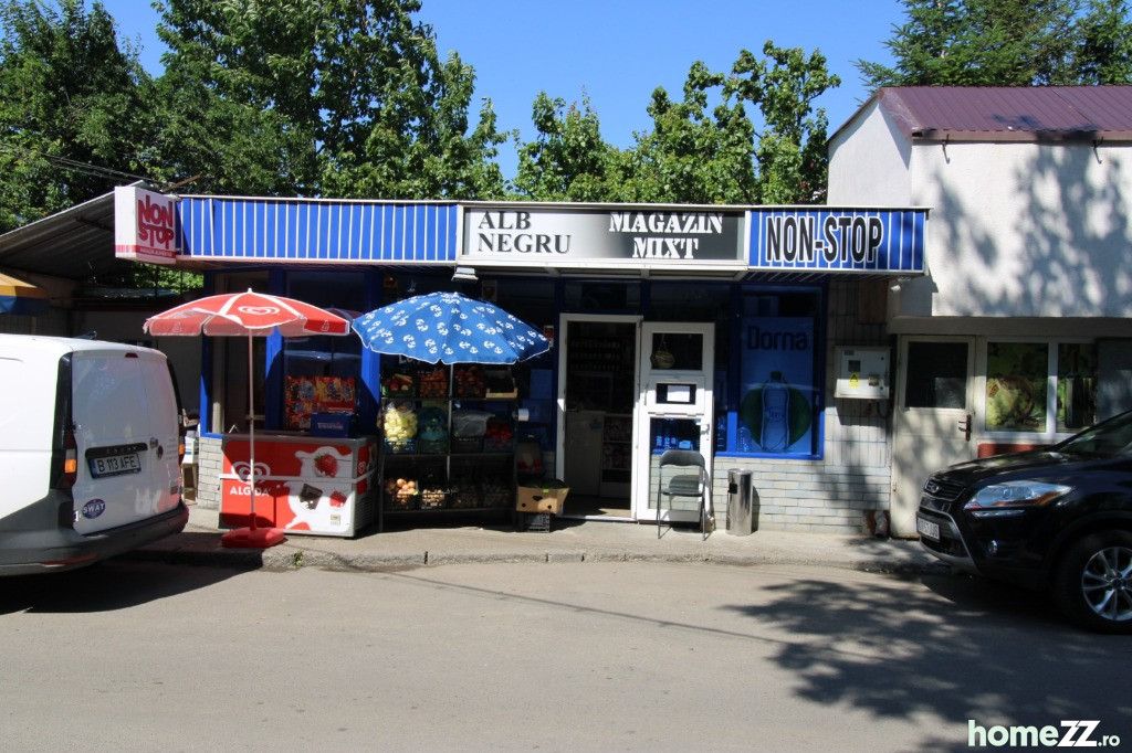 Spaţiu comercial, I.C.Frimu