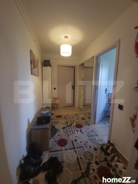 Apartament 2 camere, Brazda lui Novac