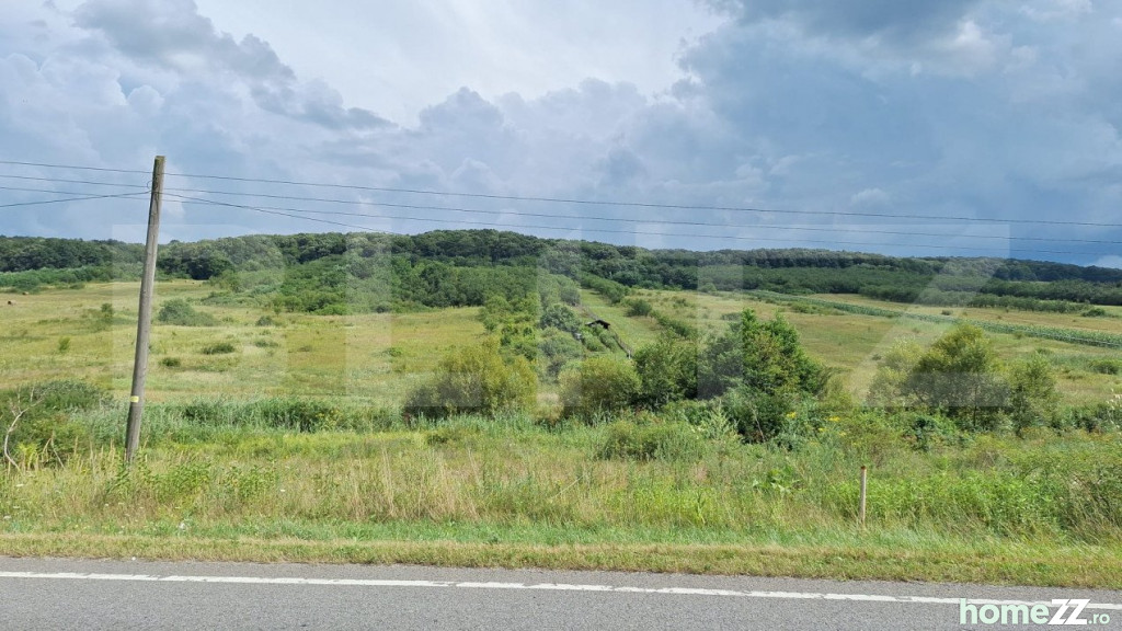 Teren, 10000 m²
