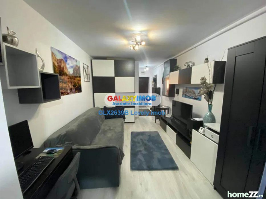 Apartament 1 cameră, Theodor Pallady