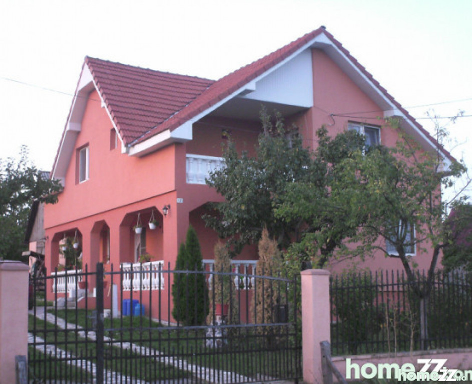 Casa in Viile Satu Mare, 200mp,47 arii,anexe