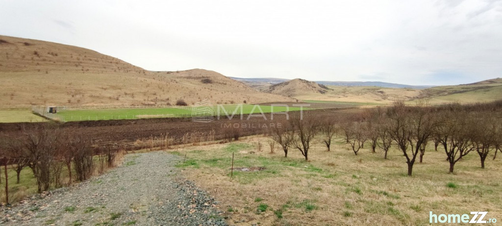 Teren, 900 m²