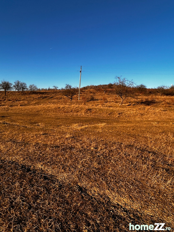 Teren, 10000 m²