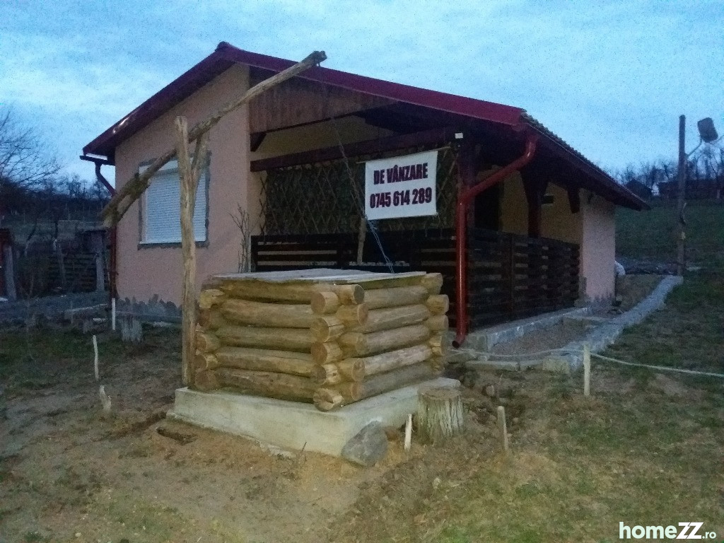Casa de locuit Salciua Noua, Timis Central