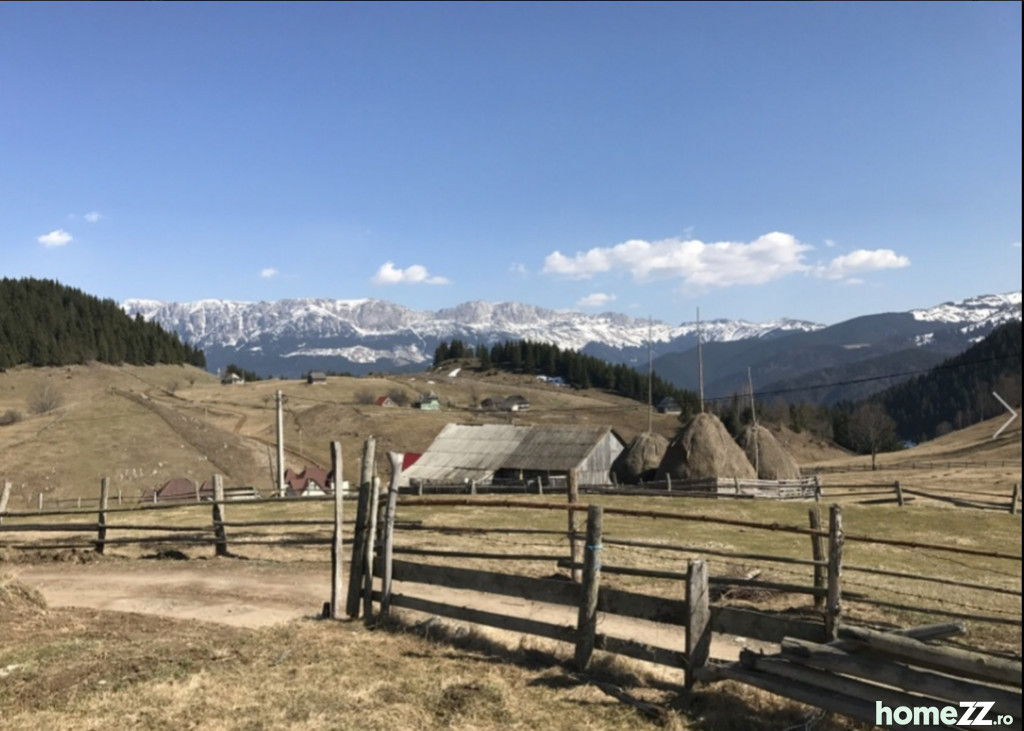 Teren Fundatica 15000 mp vedere masivul Bucegi