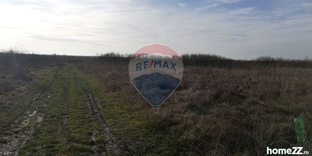Teren Satu Mare / Bulevardul Lucian Blaga/Strada Caprioarei