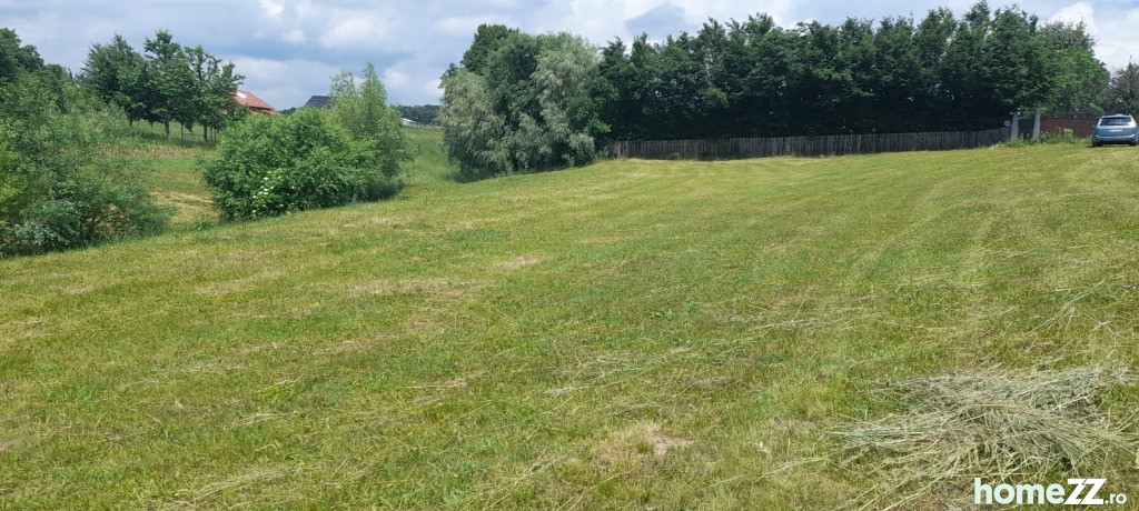 Teren, 5400 m²