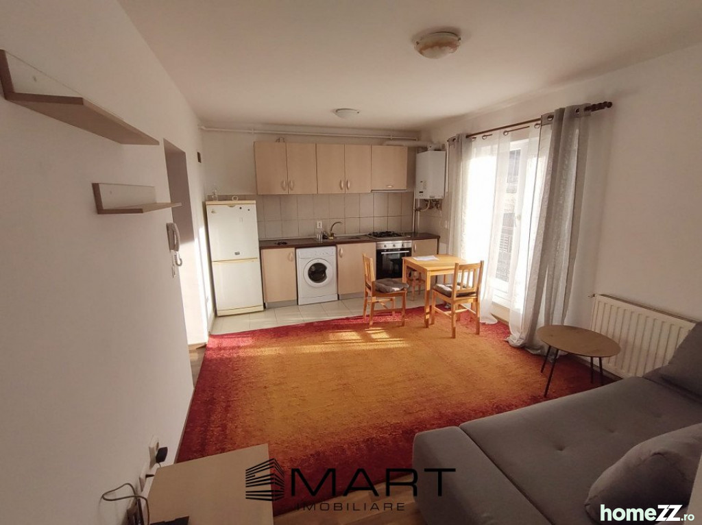 Apartament 1 cameră, Gusterita