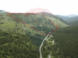 Pădure de vânzare în Maramureș, suprafață 27,04 ha ...
