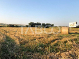63 hectare de teren comasate de vanzare zona Viile Sibiului