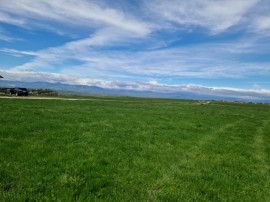 Teren extravilan 25.254 mp &icirc;n zona Preajba