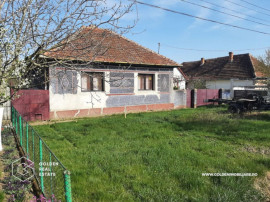 Casa cu 4 camere si 1272 mp teren, Livada