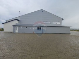 Spațiu industrial-depozit de 1120mp de &icirc;nchiriat &icirc;n Du...