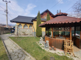 Casa/ case de vanzare in Valea Doftanei- Oportunitate afacer