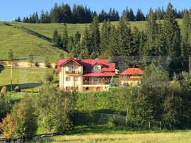Casa cu destinatii multiple, 8900 mp teren, Vatra Moldovitei
