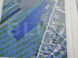 Teren, loc. Frumoasa, 17693 mp