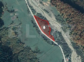 Teren 10.000 mp, Valea Zizinului