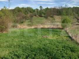 Teren intravilan/extravilan