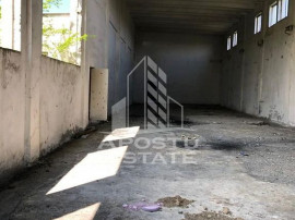 Teren 8000 mp cu hala de 700 mp