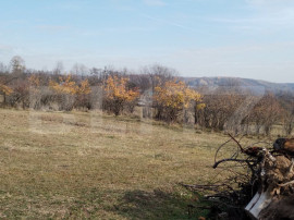 Teren intravilan 21&euro;/mp suprafața 3360 mp