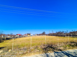 Teren Intravilan Cuca Arges