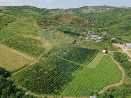 Oportunitate de investitie - Teren de vanzare I 4 ha I ce...