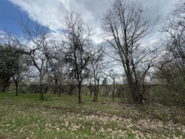 V&acirc;nd casa cu 1 ha de livadă in Carmazanesti