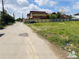 Teren intravilan 1.7 ha Dragomiresti Vale-Zurbaua, deschider