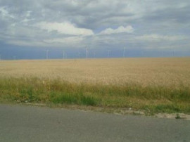 Teren Extravilan Corni, Cota parte 1/2, ID: R2581783