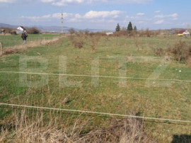 Teren intravilan 5000 mp, investiție &icirc;ntr-o zonă &icirc;n dezv