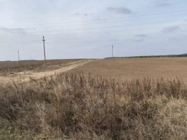 Teren extravilan 5000mp, Malu Mare, 0 comision la cumparator