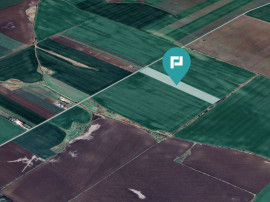 Teren 30.000 mp cu acces asfaltat &ndash; Peciu Nou